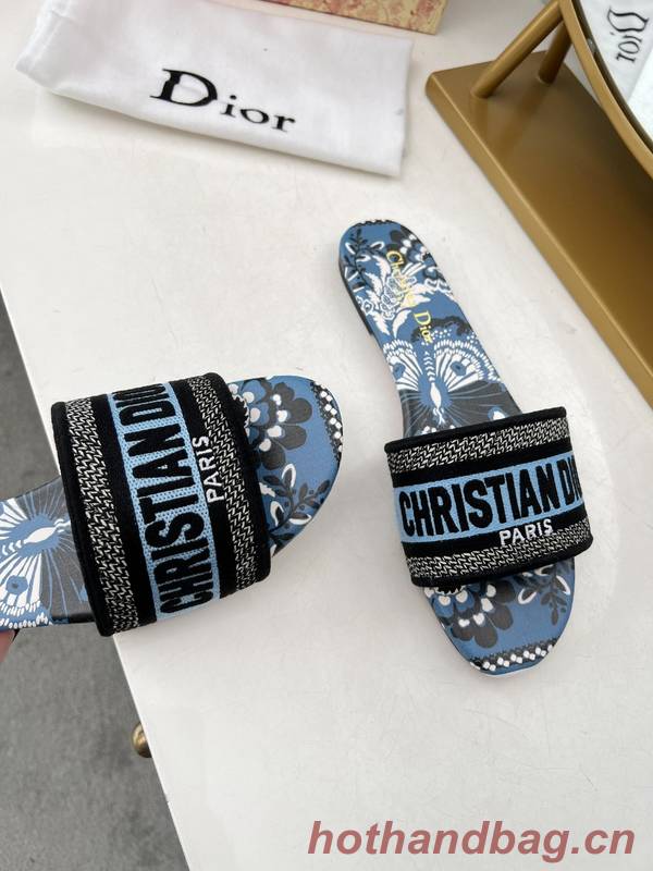 Dior Shoes DIS00349 Dior Shoes DIS00349