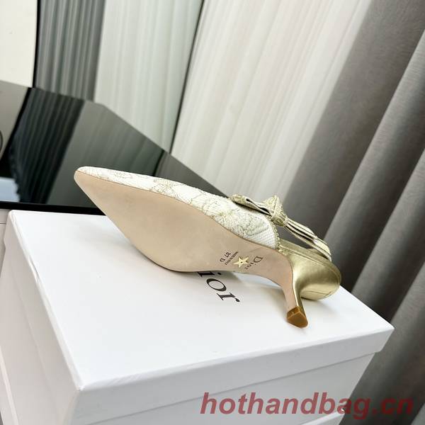 Dior Shoes DIS00353 Heel 6.5CM Dior Shoes DIS00353 Heel 6.5CM