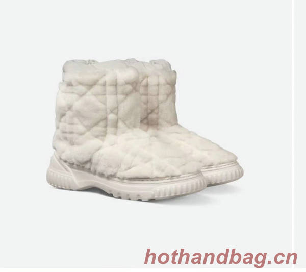 Dior Shoes DIS00381 Dior Shoes DIS00381