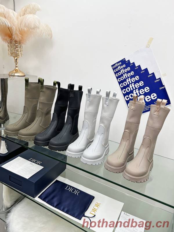 Dior Shoes DIS00415 Dior Shoes DIS00415