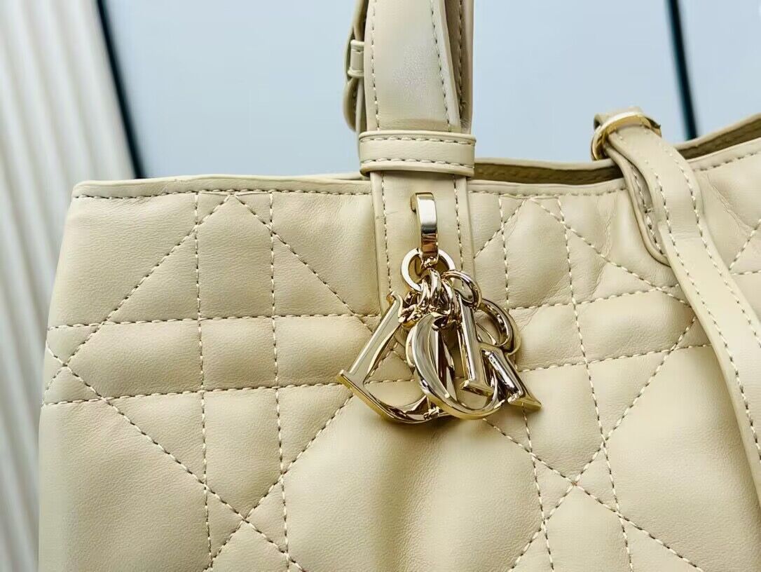 Dior Toujours Original Leather large Bag 9936 Apricot Dior Toujours Original Leather large Bag 9936 Apricot