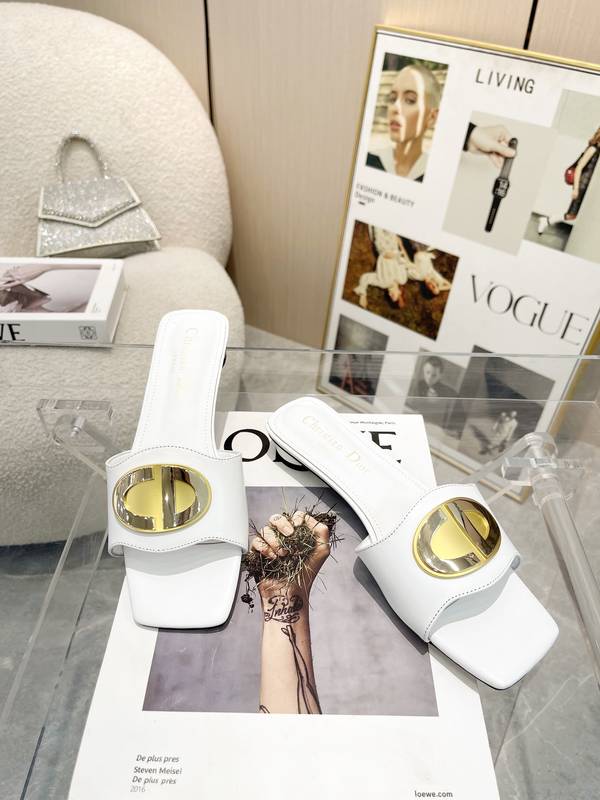 Dior Shoes DIS00504 Dior Shoes DIS00504