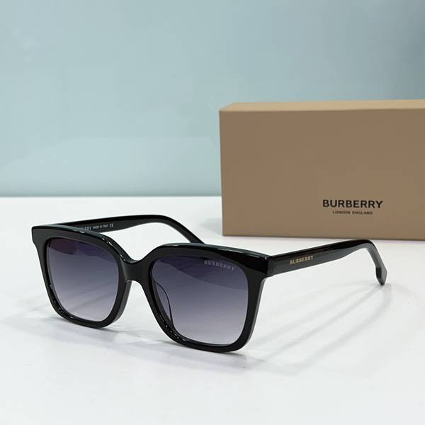 BurBerry Sunglasses Top Quality BBS01119 BurBerry Sunglasses Top Quality BBS01119