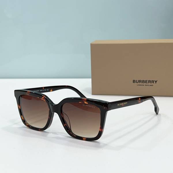 BurBerry Sunglasses Top Quality BBS01123 BurBerry Sunglasses Top Quality BBS01123