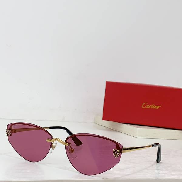 Cartier Sunglasses Top Quality CAS01713 Cartier Sunglasses Top Quality CAS01713