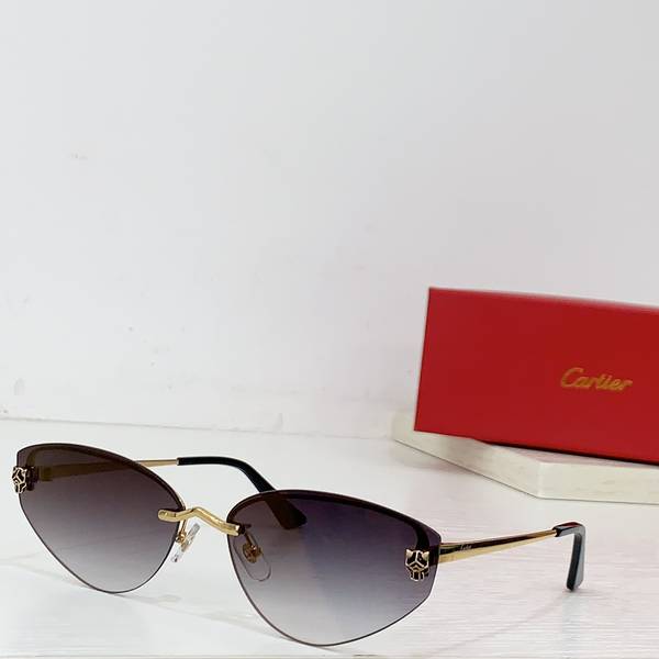 Cartier Sunglasses Top Quality CAS01718 Cartier Sunglasses Top Quality CAS01718