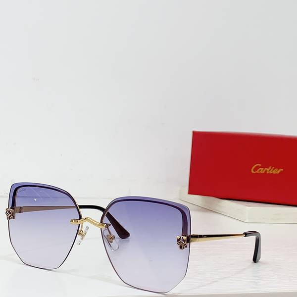 Cartier Sunglasses Top Quality CAS01725 Cartier Sunglasses Top Quality CAS01725