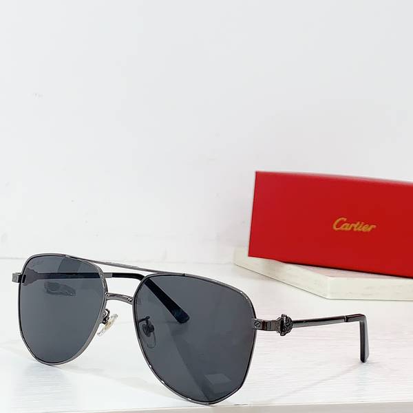 Cartier Sunglasses Top Quality CAS01728 Cartier Sunglasses Top Quality CAS01728