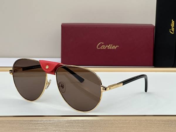Cartier Sunglasses Top Quality CAS01778 Cartier Sunglasses Top Quality CAS01778