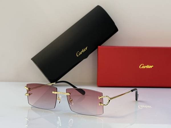Cartier Sunglasses Top Quality CAS01794 Cartier Sunglasses Top Quality CAS01794