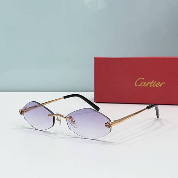 Cartier Sunglasses Top Quality CAS01822 Cartier Sunglasses Top Quality CAS01822