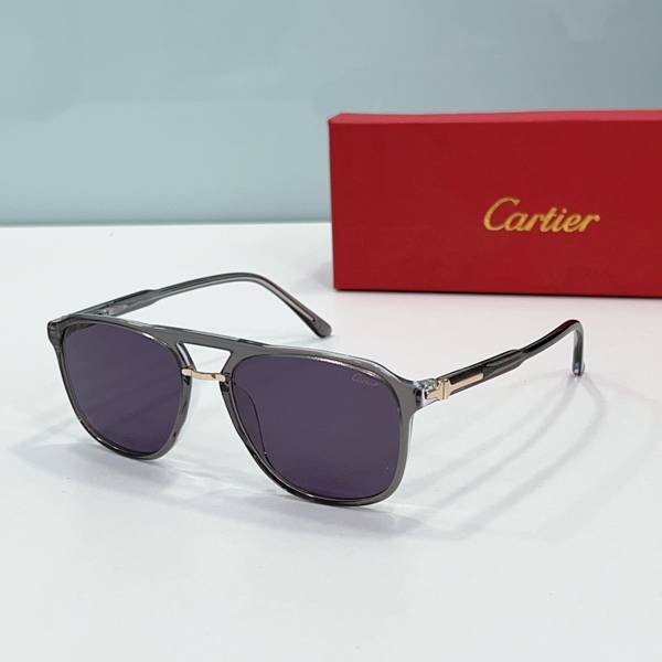Cartier Sunglasses Top Quality CAS01828 Cartier Sunglasses Top Quality CAS01828