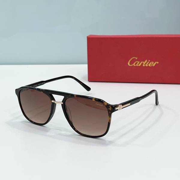 Cartier Sunglasses Top Quality CAS01829 Cartier Sunglasses Top Quality CAS01829