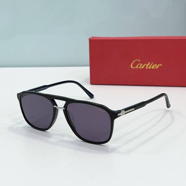 Cartier Sunglasses Top Quality CAS01833 Cartier Sunglasses Top Quality CAS01833