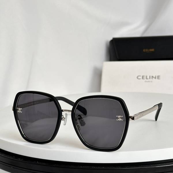 Celine Sunglasses Top Quality CES01245 Celine Sunglasses Top Quality CES01245