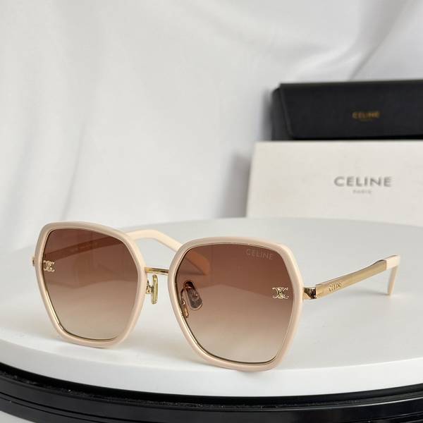 Celine Sunglasses Top Quality CES01248 Celine Sunglasses Top Quality CES01248