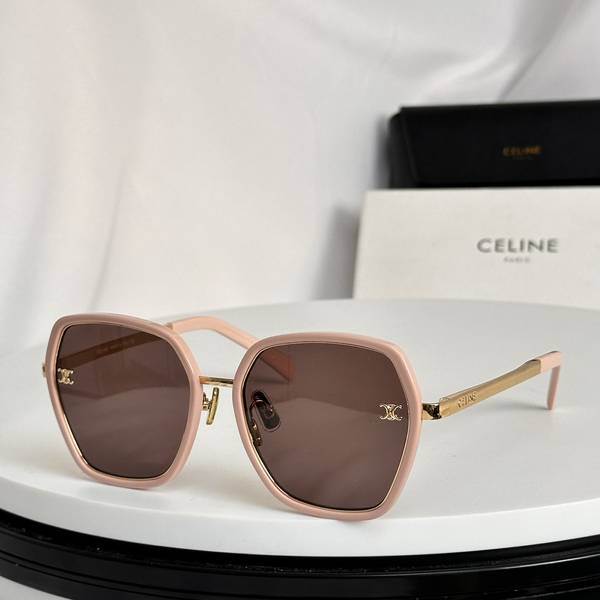 Celine Sunglasses Top Quality CES01249 Celine Sunglasses Top Quality CES01249