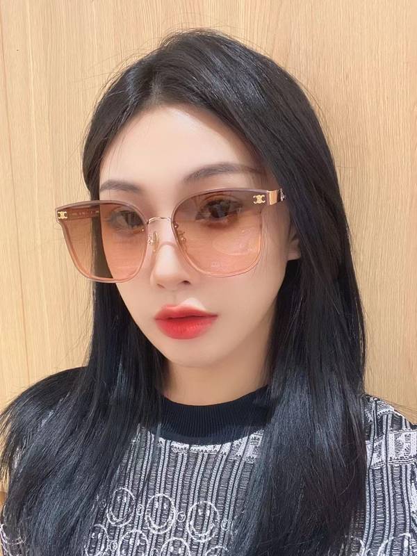 Celine Sunglasses Top Quality CES01252 Celine Sunglasses Top Quality CES01252