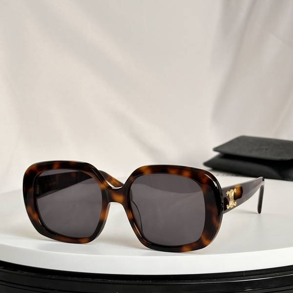 Celine Sunglasses Top Quality CES01280 Celine Sunglasses Top Quality CES01280