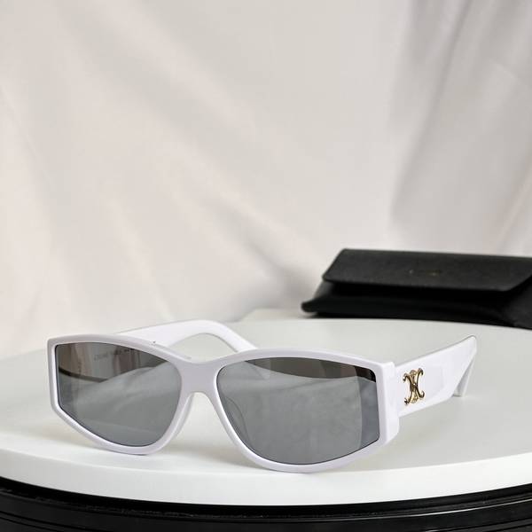 Celine Sunglasses Top Quality CES01290 Celine Sunglasses Top Quality CES01290