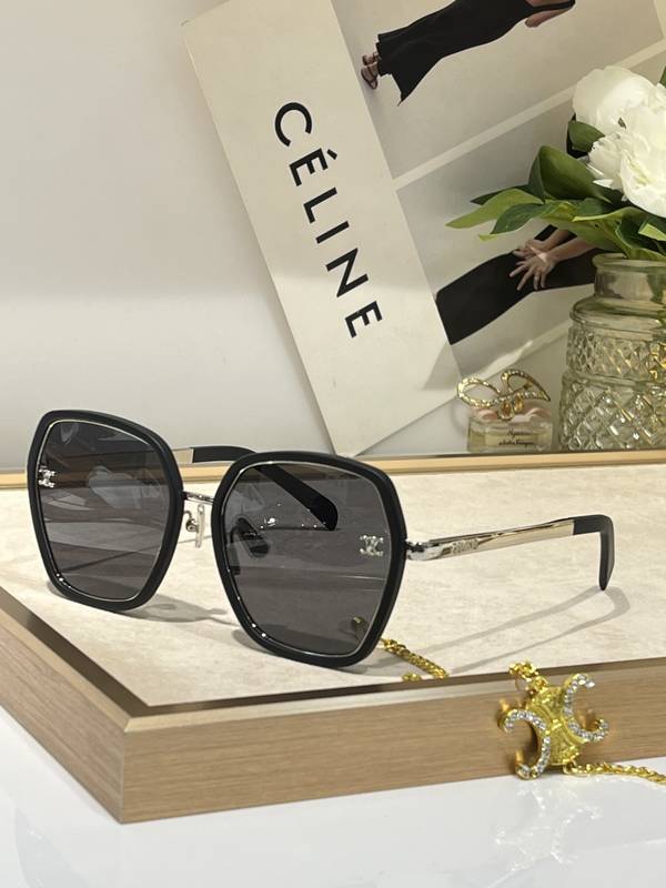 Celine Sunglasses Top Quality CES01309 Celine Sunglasses Top Quality CES01309