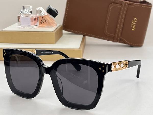 Celine Sunglasses Top Quality CES01313 Celine Sunglasses Top Quality CES01313