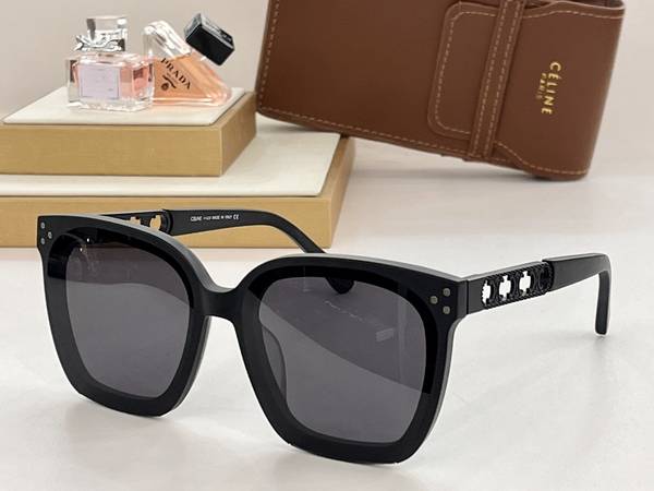 Celine Sunglasses Top Quality CES01314 Celine Sunglasses Top Quality CES01314