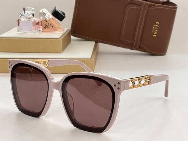 Celine Sunglasses Top Quality CES01317 Celine Sunglasses Top Quality CES01317