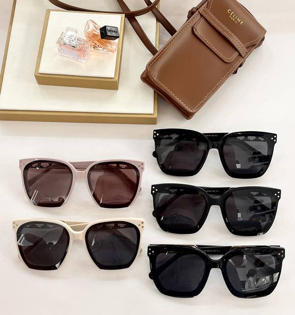 Celine Sunglasses Top Quality CES01318 Celine Sunglasses Top Quality CES01318
