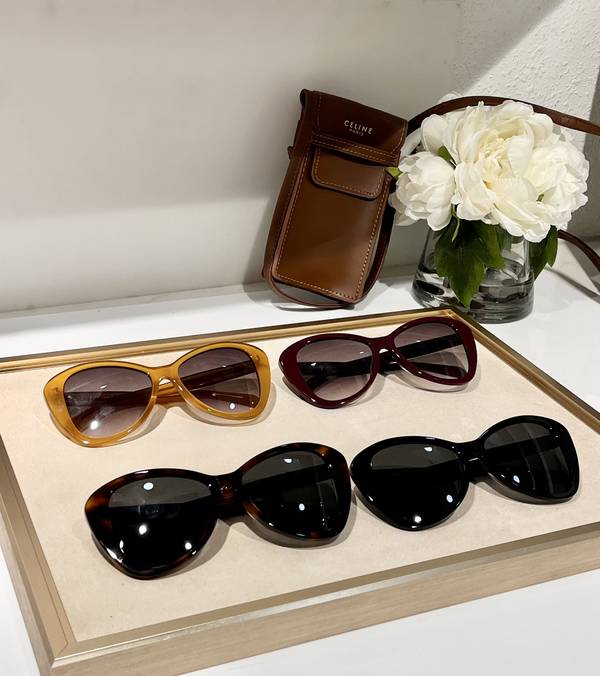 Celine Sunglasses Top Quality CES01339 Celine Sunglasses Top Quality CES01339