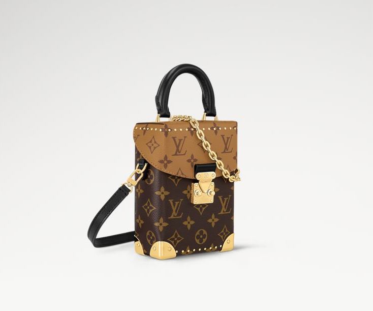 Louis Vuitton Monogram Canvas Camera Box Bag M82465 Brown Louis Vuitton Monogram Canvas Camera Box Bag M82465 Brown