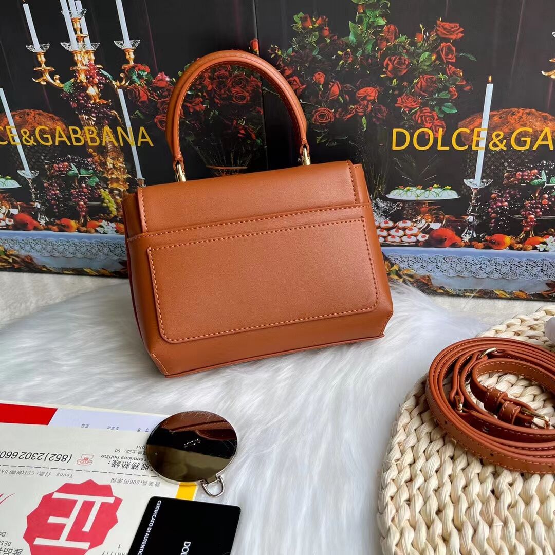 Dolce & Gabbana leather bag G6002 brown Dolce & Gabbana leather bag G6002 brown