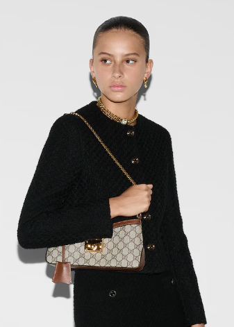 Gucci PADLOCK SMALL SHOULDER BAG 811705 Brown Gucci PADLOCK SMALL SHOULDER BAG 811705 Brown