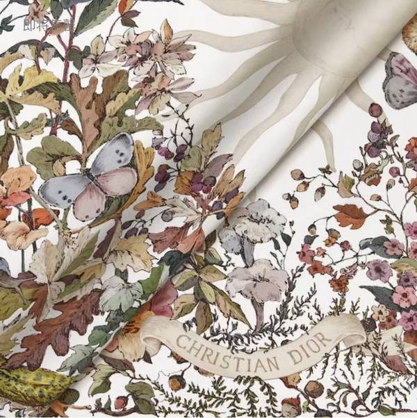 Dior Scarf DIC00395 Dior Scarf DIC00395