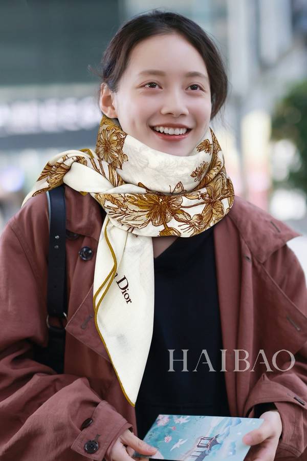 Dior Scarf DIC00427 Dior Scarf DIC00427