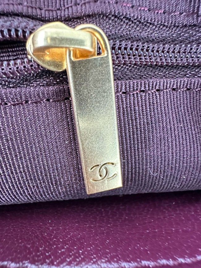 Chanel SMALL CAMERA CASE AS5086 Burgundy