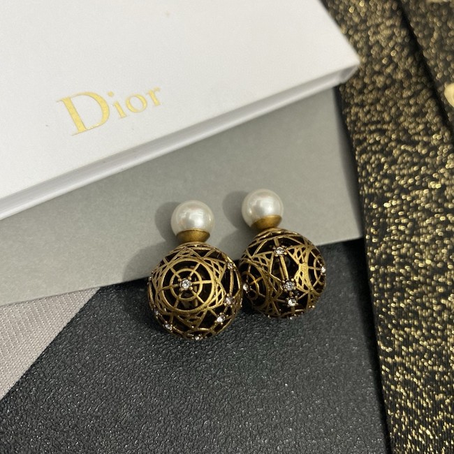 Dior Earring CE16310