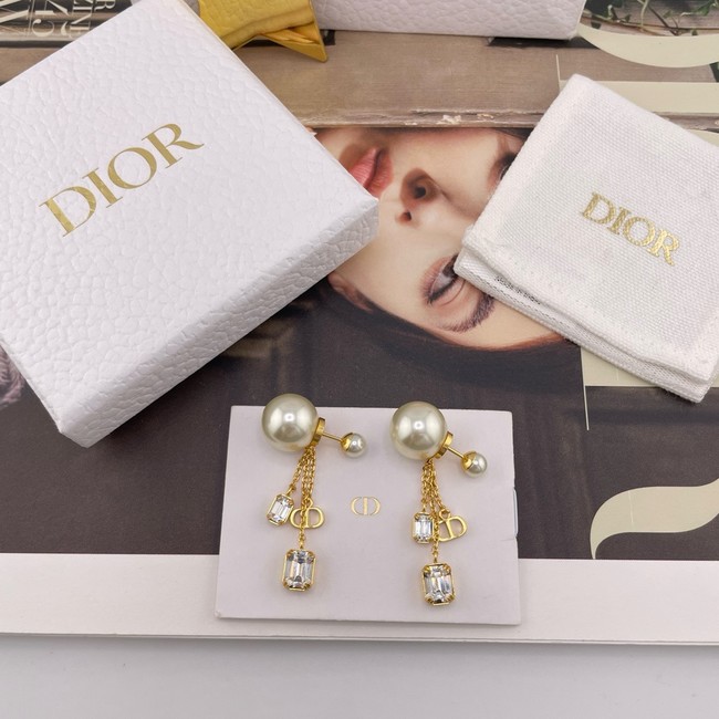 Dior Earring CE16364
