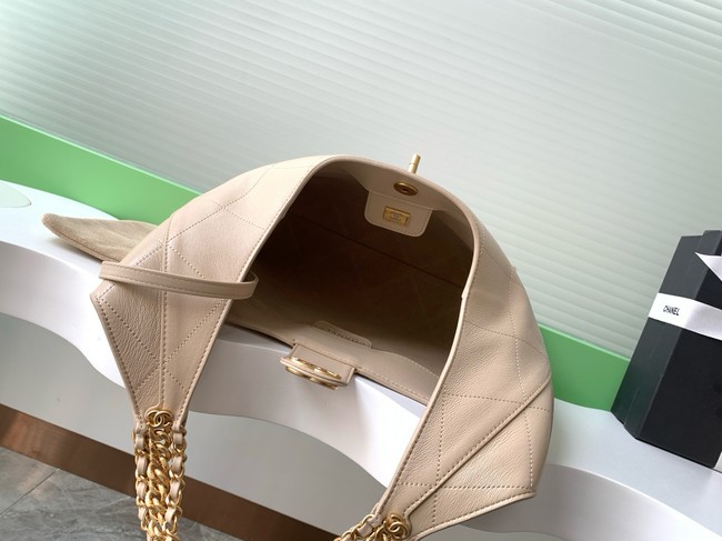 Chanel HOBO HANDBAG AS5425 Beige