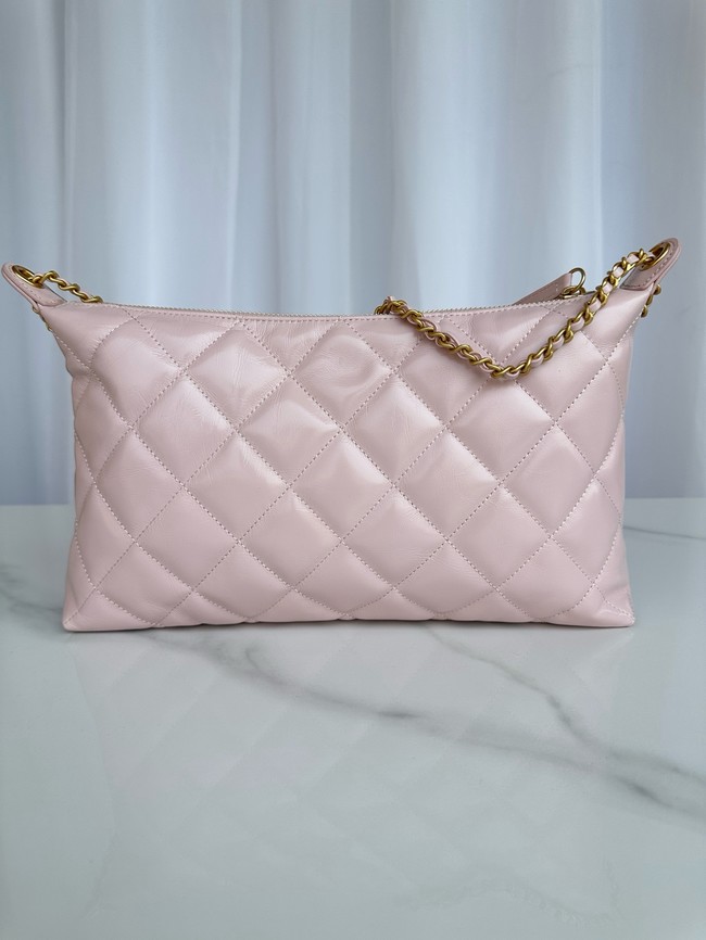 Chanel Medium HOBO BAG AS5498 pink
