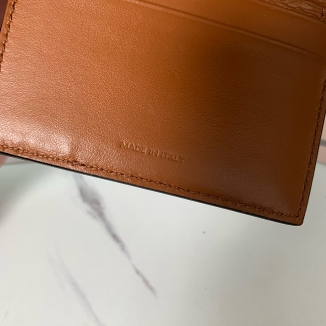 Celine SMALL FLAP WALLET TRIOMPHE IN TRIOMPHE CANVAS 10L653 brown