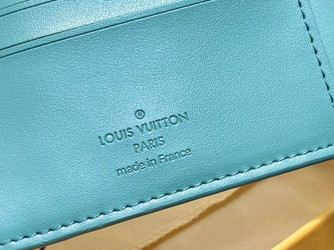 Louis Vuitton Multiple Wallet M14252 Water Green