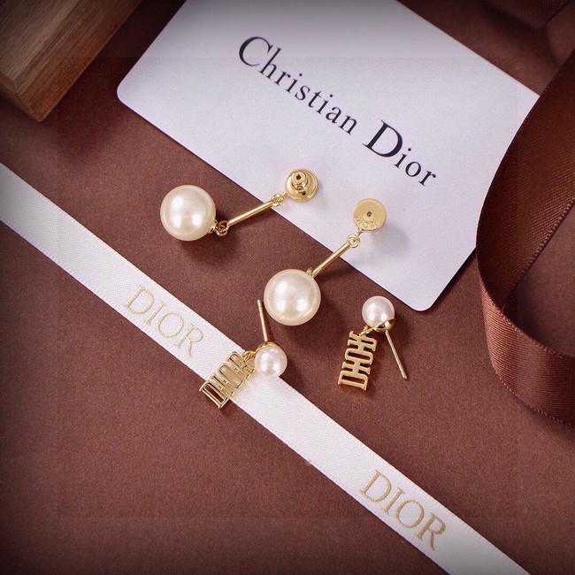 Dior Earring CE16571