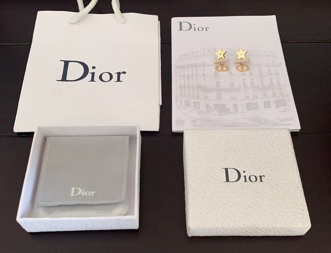 Dior Earring CE16626