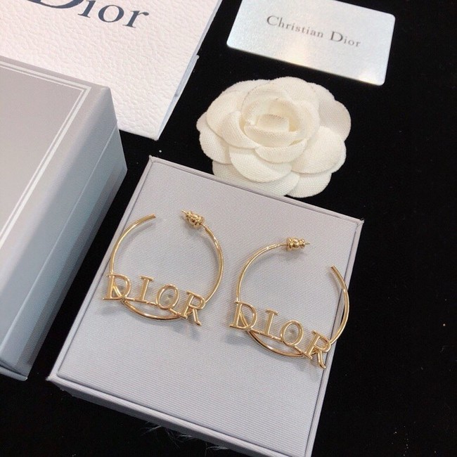 Dior Earring CE16719