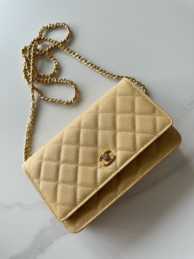 Chanel Classic Wallet On Chain Grained Calfskin AP4241-19
