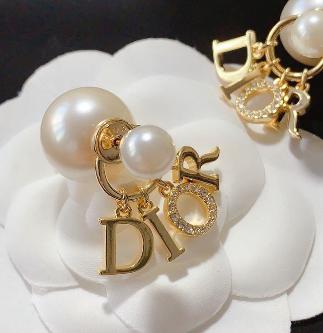Dior Earring CE16950