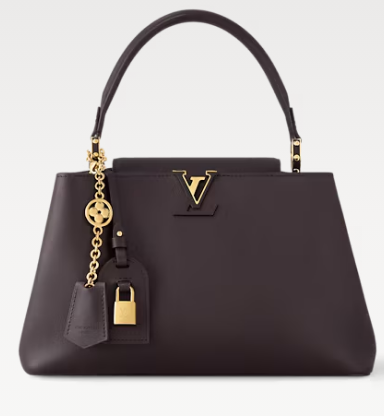 Louis Vuitton Capucines MM Souple M12929 Chocolate