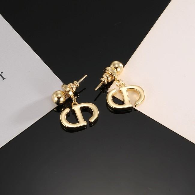 Dior Earring CE16970