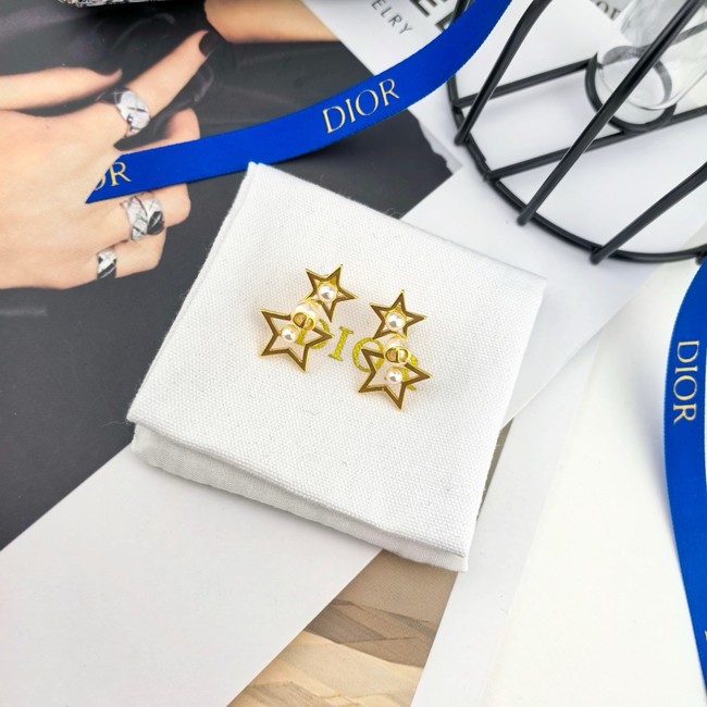 Dior Earring CE17006